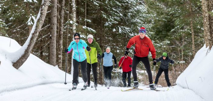 A group of people cross country skiing in the woods.