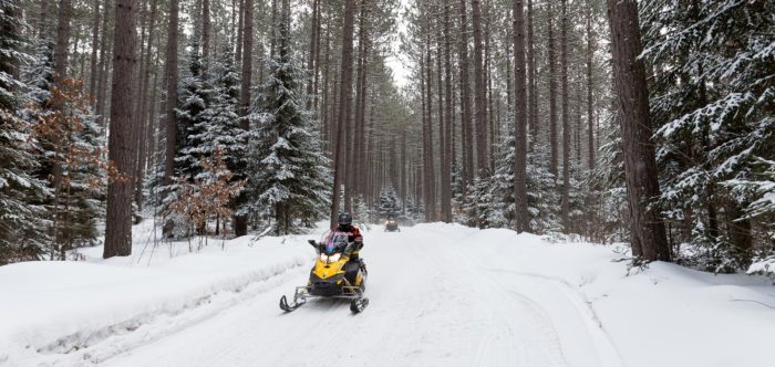 Two people riding a snowmobile through a forest.