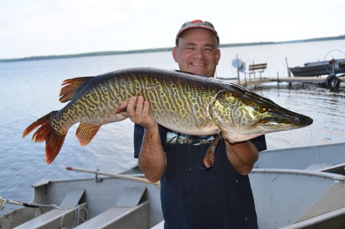 A person stands on a boat near a tranquil resort lake, holding a large fish with a patterned, elongated body. They are smiling and wearing a cap, clearly enjoying their day at the resort.