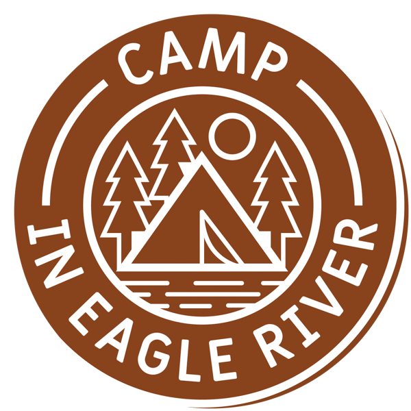 ER_Badges-Camp_Brown