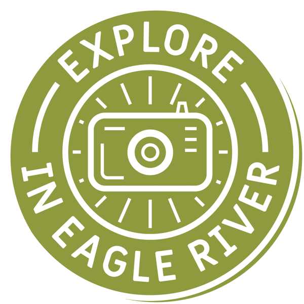 ER_Badges-Explore-Camera_LightGreen