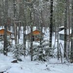 Several wooden cabins are nestled among snow-covered trees in a winter forest, creating a cozy resort atmosphere.