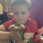 A young boy intently observes a caterpillar on a leaf he is holding, as other children look on in the background.