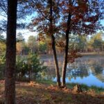 A serene lake reflects autumn trees, surrounded by grass and pine trees under a clear blue sky.