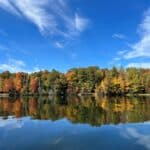 Tree line along lake during fall with trees changing color