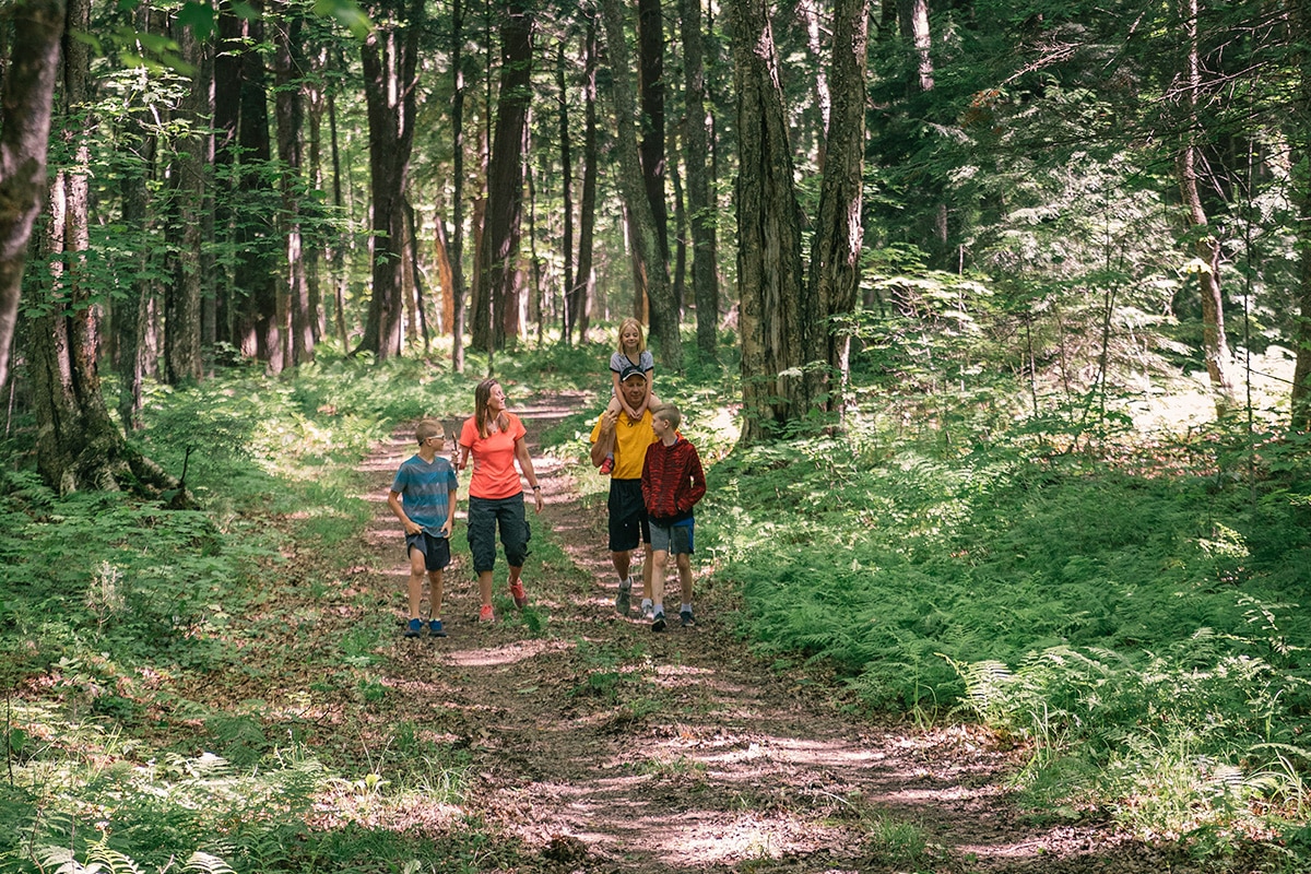 A group of people walking on a trail in the woods.