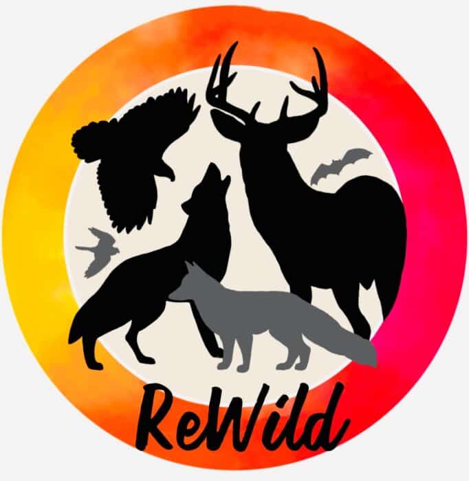Graphic illustration featuring silhouettes of a bird, deer, and wolf with the word "rewild" on a backdrop resembling a sunset.