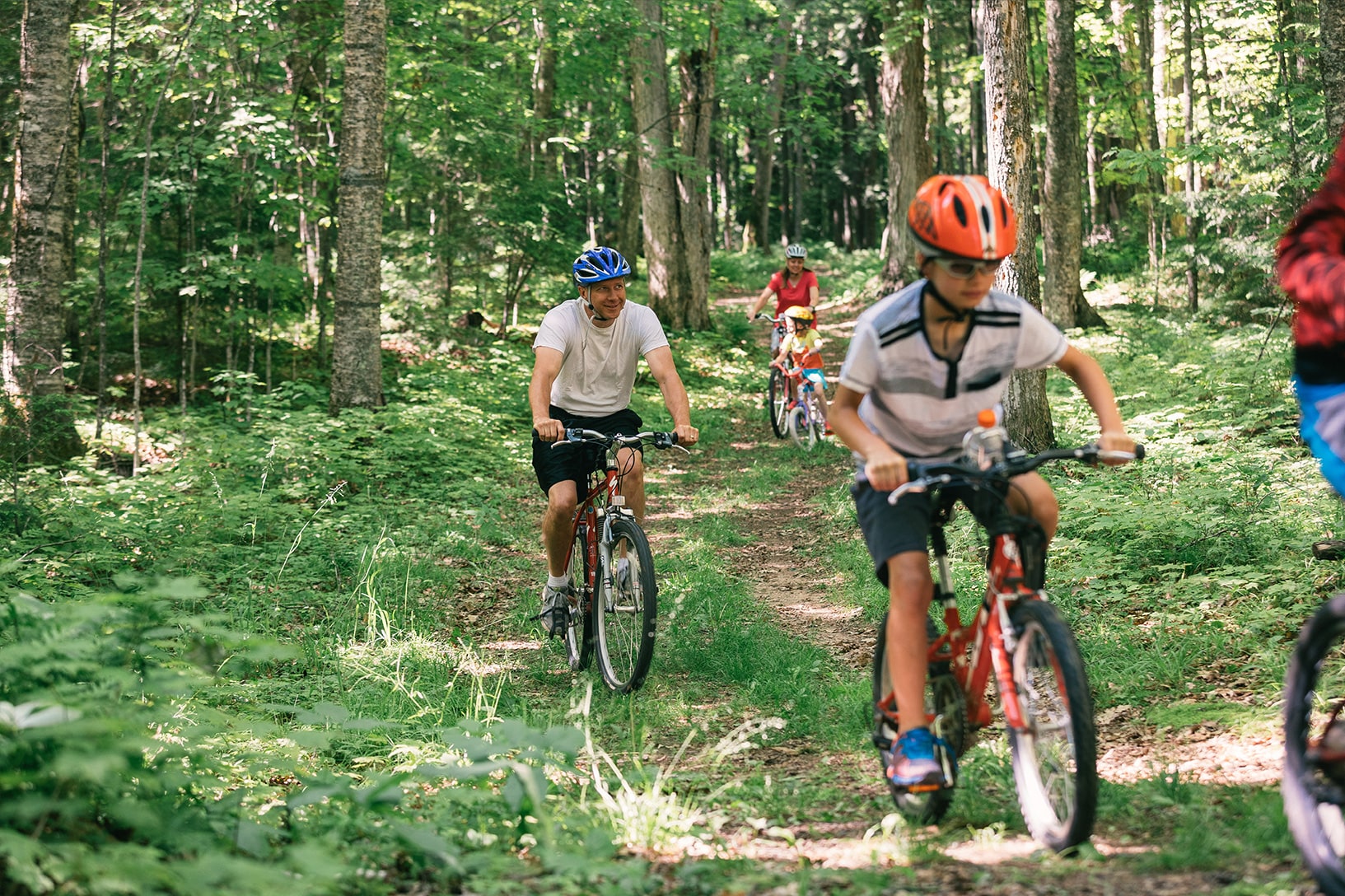 Several people ride bicycles along a forest trail on a sunny day, with lush green trees and foliage surrounding them.