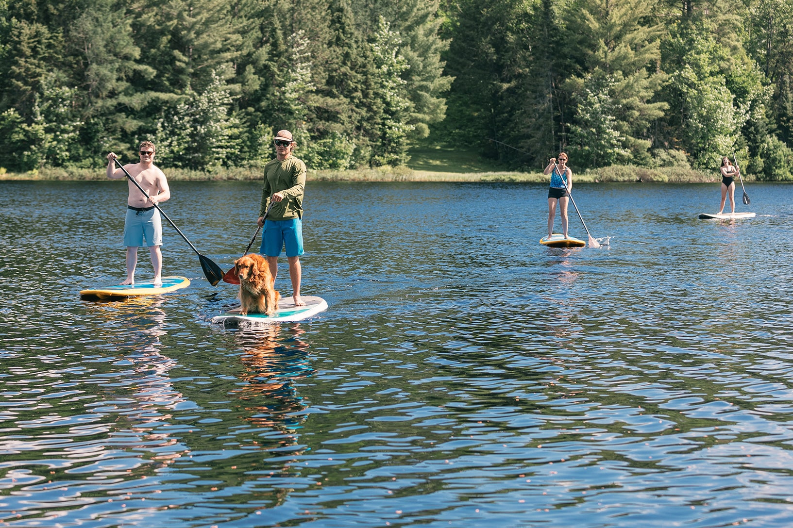 Four people paddleboarding on a lake, with one person having a dog on their board. They are surrounded by trees on the shoreline in the background.