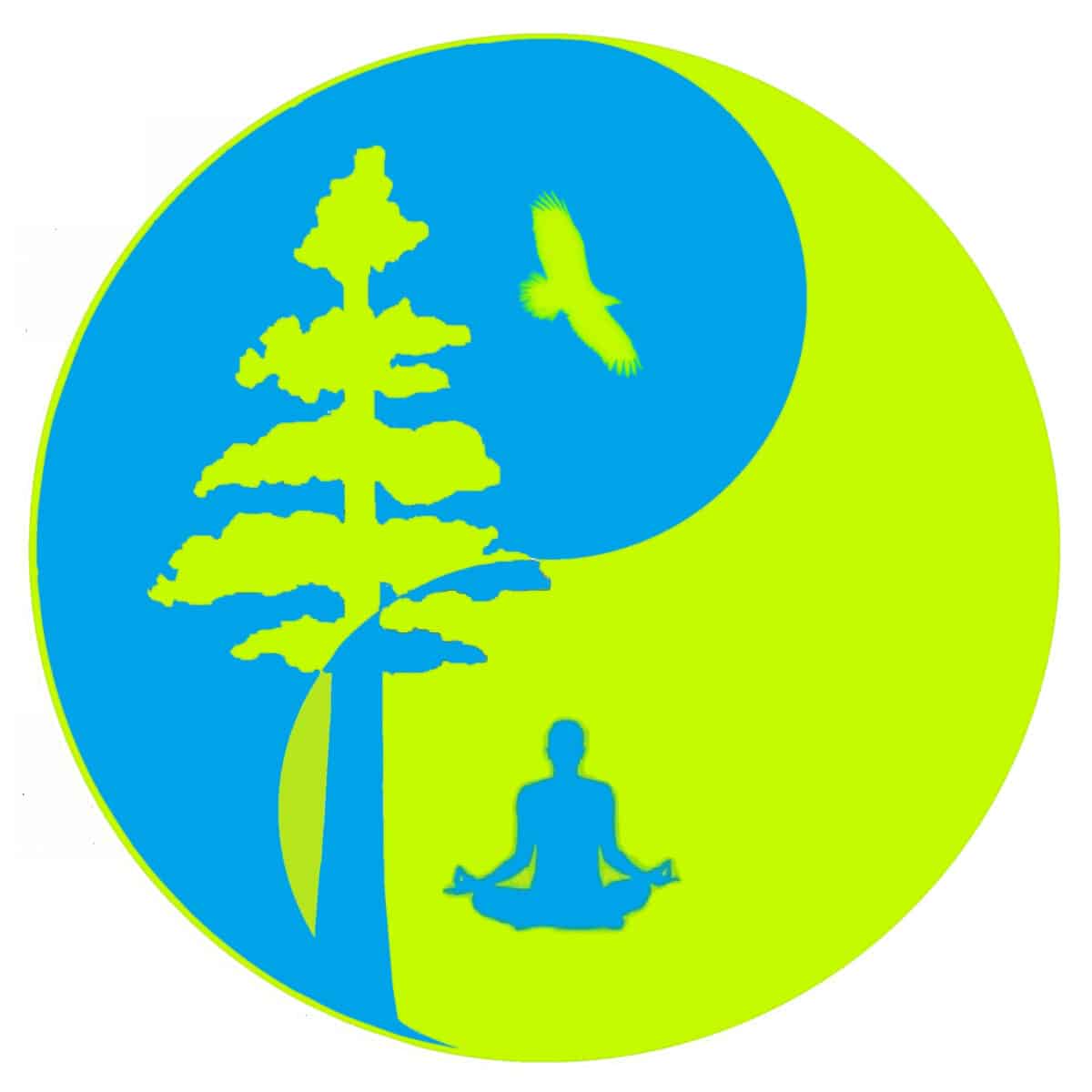 A yin-yang symbol featuring a tree and a meditating person in blue, with a bird flying above. The background is divided into bright green and blue segments.