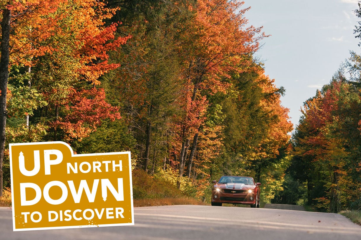 A car drives down a road lined with trees displaying fall foliage. A sign reads, "Up north to discover, Down to discover.