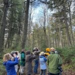 People in a forest observing the trees and sky, some using binoculars.