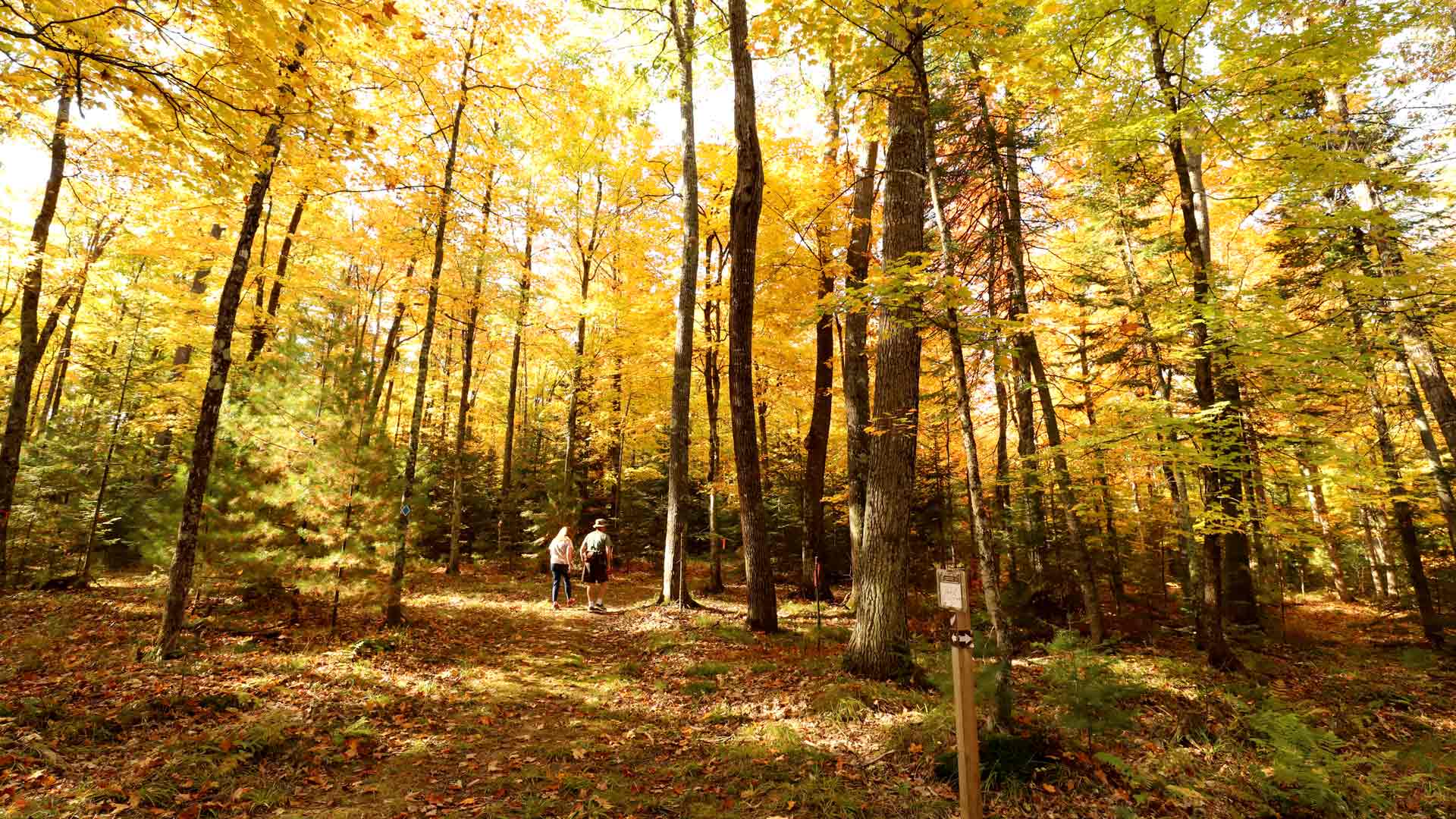 Fern Ridge Trail - Eagle River Area Chamber of Commerce