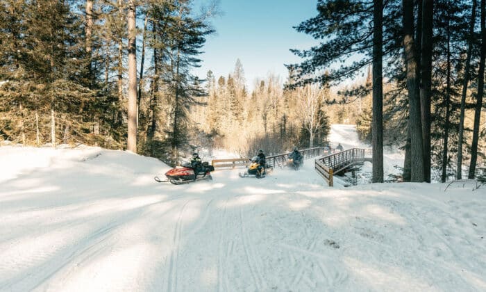 Two people ride snowmobiles on a snow-covered trail surrounded by trees under a clear sky.