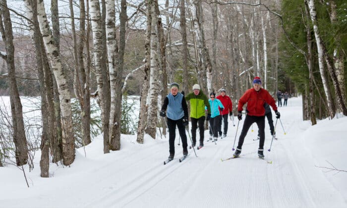 A group of people cross-country skiing on a snowy forest trail lined with birch trees, wearing winter gear in various colors.