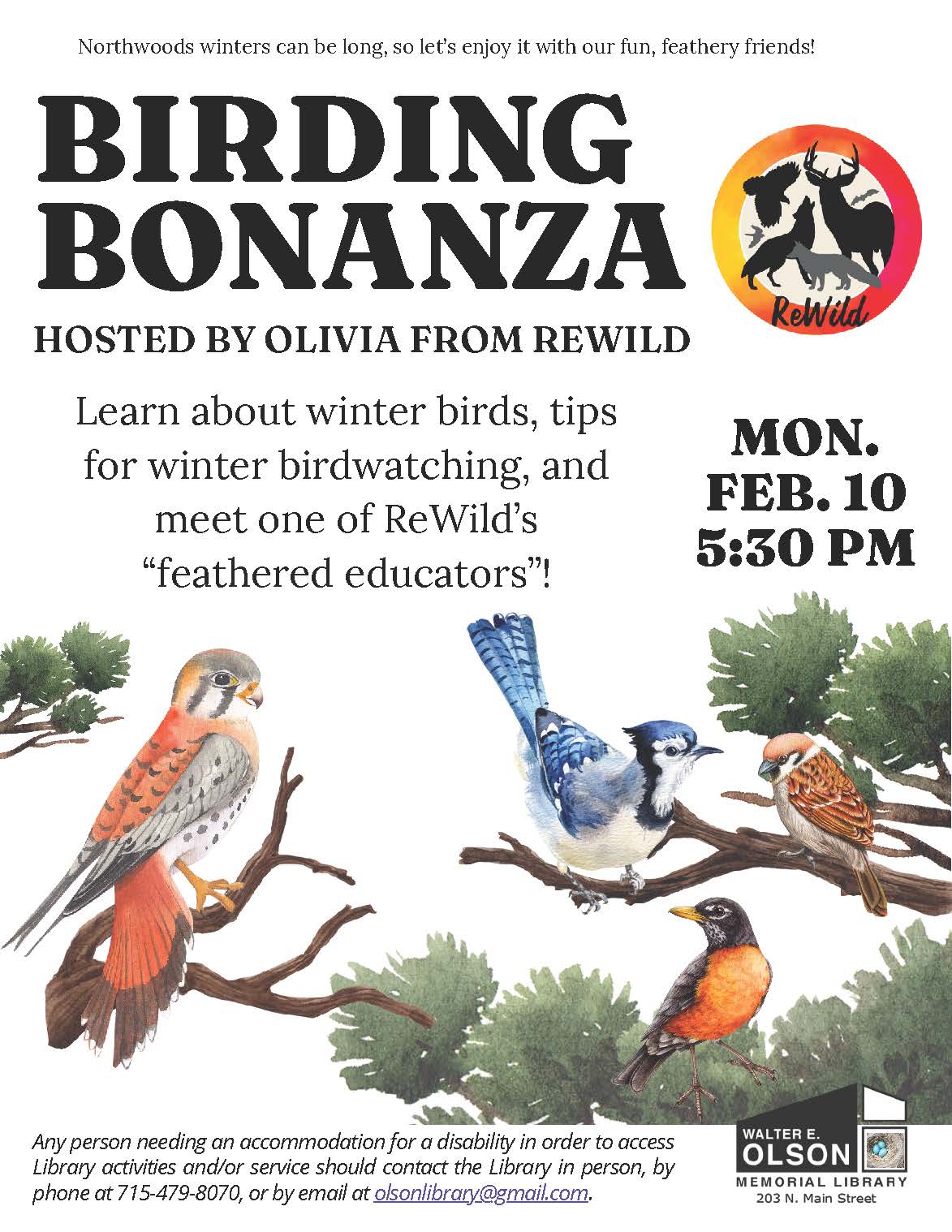 Birding Bonanza event flyer for Feb 10 at 5:30 PM, hosted by Olivia from ReWild at Walter E. Olson Memorial Library. Features illustrations of birds on branches.