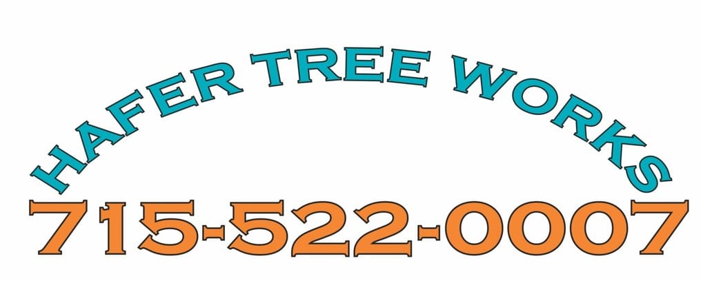 Text reads "Hafer Tree Works" in blue and "715-522-0007" in orange.