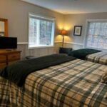 Bedroom with two plaid-covered beds, a wooden dresser with a mirror and small TV, a lamp, and two windows showing trees outside.