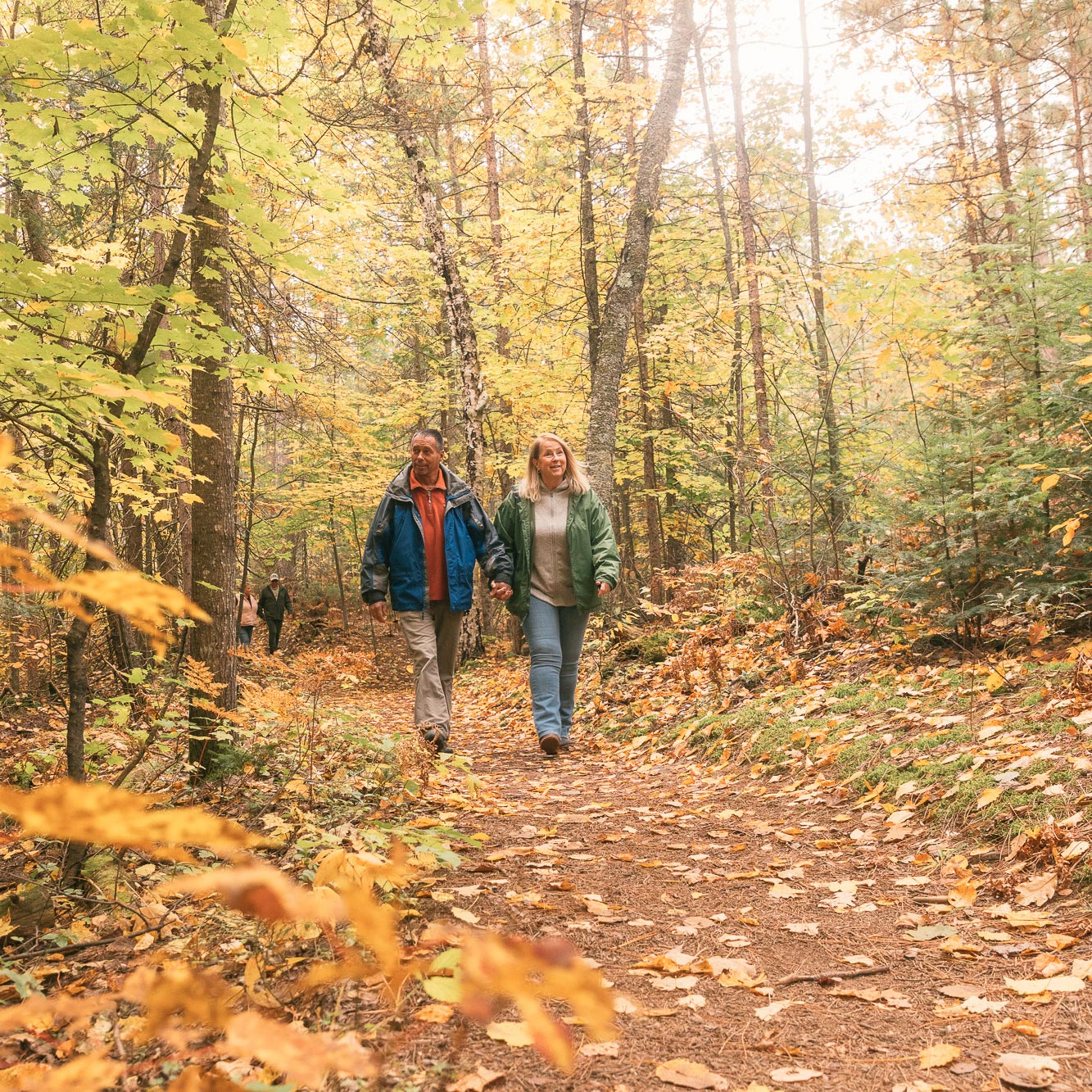 A couple walks hand in hand along a leafy, sunlit forest path in autumn.