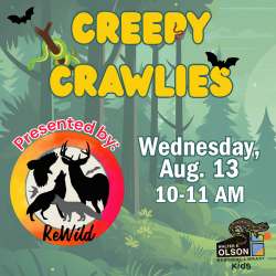 ReWild Creepy Crawlies (500 x 500 px) Creepy Crawlies event poster with forest background, bats, and event details: Wednesday, Aug. 13, 10-11 AM. Presented by ReWild. City of Olson Kids logo at the bottom.