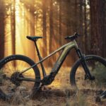 A mountain bike stands on a forest floor with sunlight streaming through tall trees in the background.