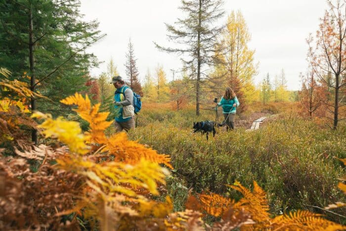 Two people and a black dog hike along a narrow trail through autumn foliage, surrounded by trees with green and yellow leaves.