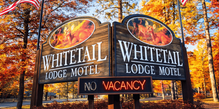 Wooden Whitetail Lodge Motel sign with deer images, flanked by American flags, displays a neon “No Vacancy” message amid autumn trees.