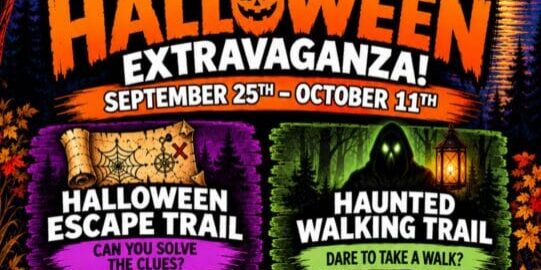 Colorful flyer for Wildwood Halloween Extravaganza, featuring escape and walking trails, event dates, contact info, and festive autumn graphics like pumpkins and leaves.