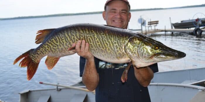 A person stands on a boat near a tranquil resort lake, holding a large fish with a patterned, elongated body. They are smiling and wearing a cap, clearly enjoying their day at the resort.