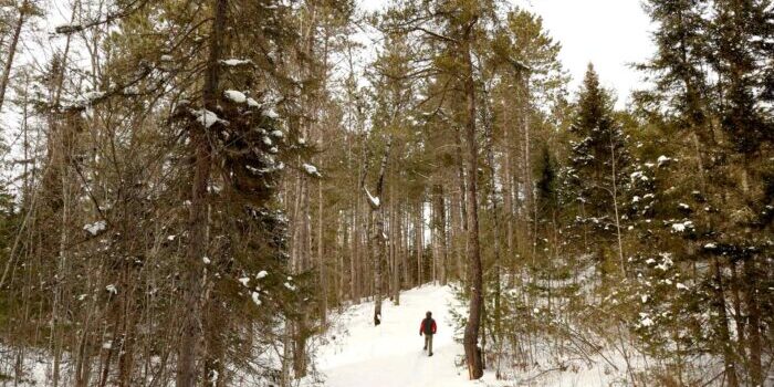 Deerskin-Snowshoe-Trails_Vilas_County_20210217187A3776_WP