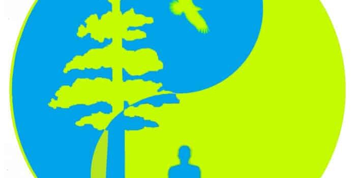 A yin-yang symbol featuring a tree and a meditating person in blue, with a bird flying above. The background is divided into bright green and blue segments.