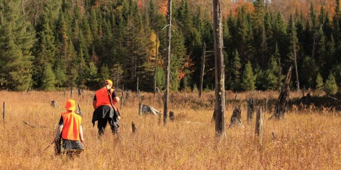 Two people wearing orange vests walk through a field with tall grass and scattered tree stumps, surrounded by a forest with autumn foliage.