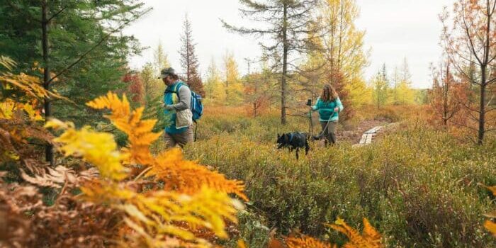 Two people and a black dog hike along a narrow trail through autumn foliage, surrounded by trees with green and yellow leaves.