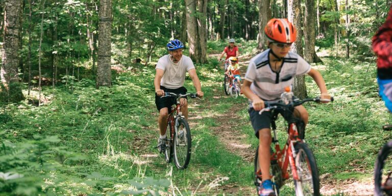 FamilyBiking_Summer Several people ride bicycles along a forest trail on a sunny day, with lush green trees and foliage surrounding them.