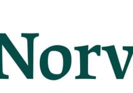 Green Norvado logo with a stylized arrow symbol formed by lines inside a circular shape on the left, followed by the name "Norvado" in green text.