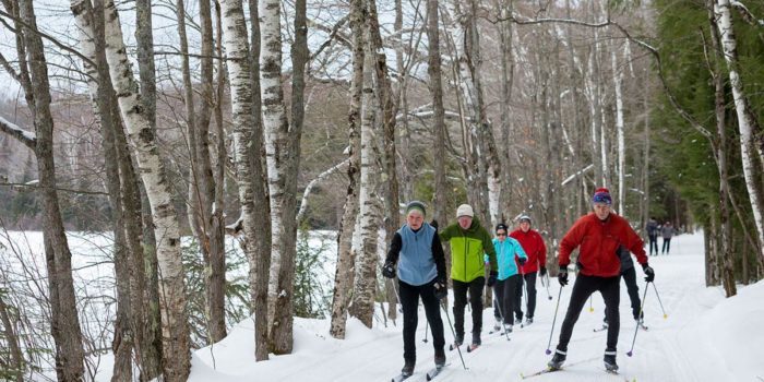 A group of people cross country skiing through a wooded area.