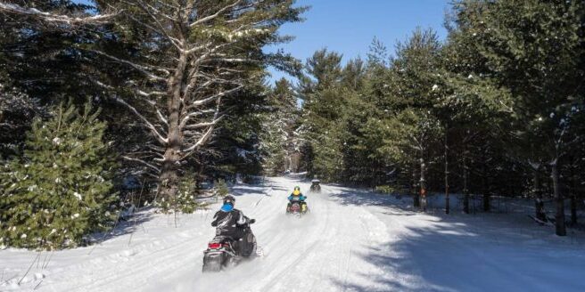 Two people riding snowmobiles through a wooded area.