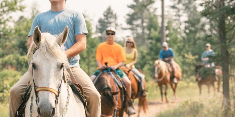 A group of people riding horses in the woods.