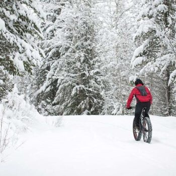 A person riding a fat bike through a snowy forest.