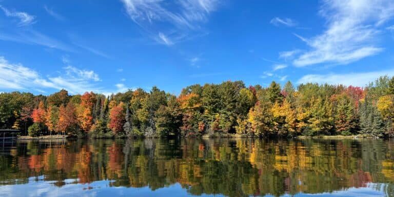 Tree line along lake during fall with trees changing color